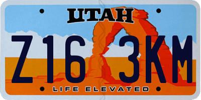 UT license plate Z163KM
