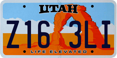 UT license plate Z163LI