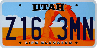 UT license plate Z163MN