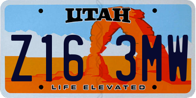 UT license plate Z163MW