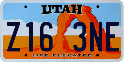 UT license plate Z163NE