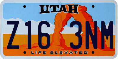 UT license plate Z163NM