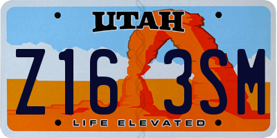 UT license plate Z163SM