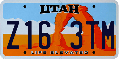 UT license plate Z163TM