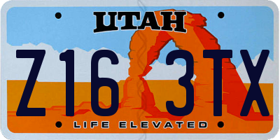 UT license plate Z163TX