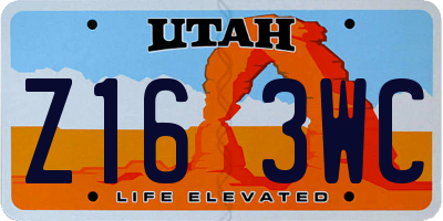 UT license plate Z163WC