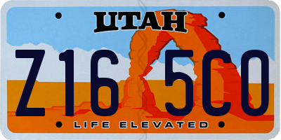 UT license plate Z165CO