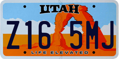 UT license plate Z165MJ