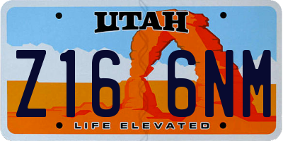 UT license plate Z166NM