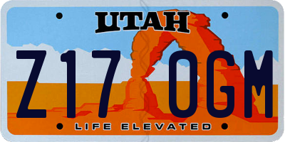 UT license plate Z170GM