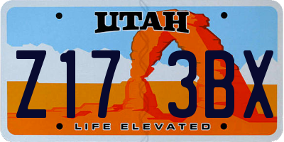 UT license plate Z173BX