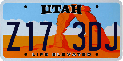 UT license plate Z173DJ