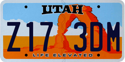 UT license plate Z173DM