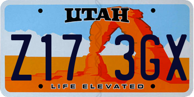 UT license plate Z173GX