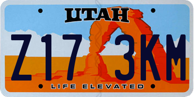 UT license plate Z173KM