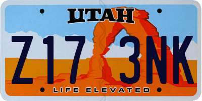 UT license plate Z173NK
