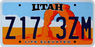 UT license plate Z173ZM