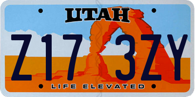 UT license plate Z173ZY