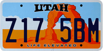 UT license plate Z175BM