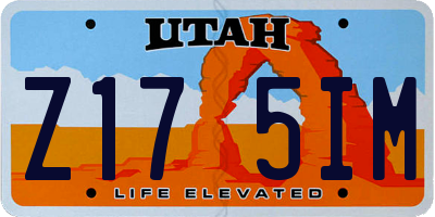UT license plate Z175IM