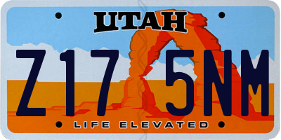 UT license plate Z175NM