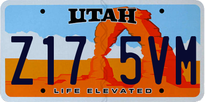 UT license plate Z175VM