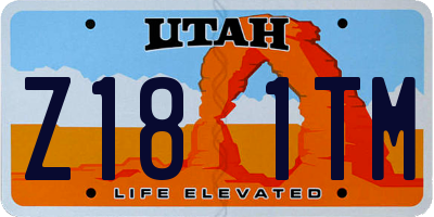 UT license plate Z181TM