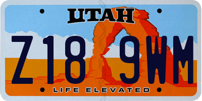 UT license plate Z189WM
