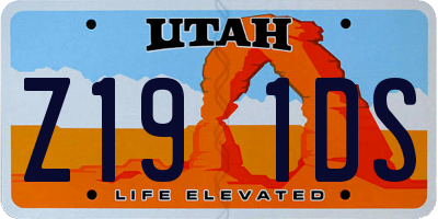 UT license plate Z191DS