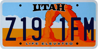 UT license plate Z191FM