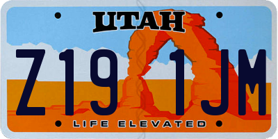 UT license plate Z191JM