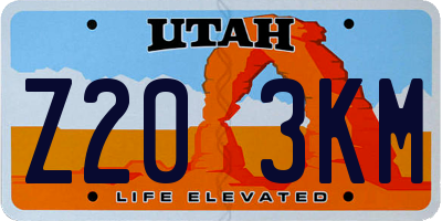 UT license plate Z203KM