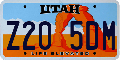 UT license plate Z205DM