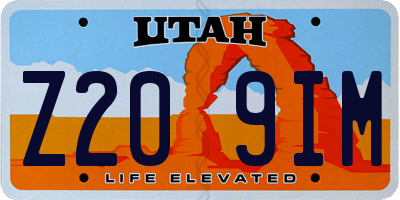UT license plate Z209IM