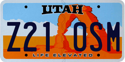 UT license plate Z210SM