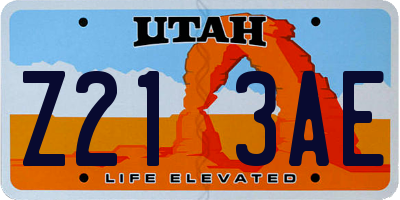 UT license plate Z213AE