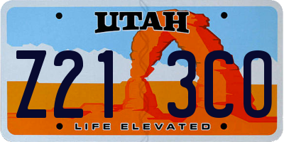 UT license plate Z213CO