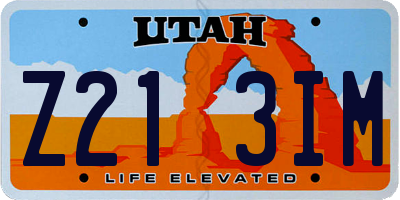 UT license plate Z213IM