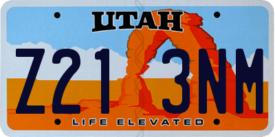 UT license plate Z213NM