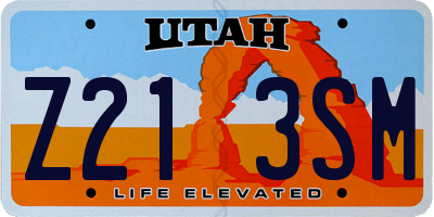 UT license plate Z213SM