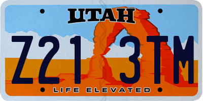 UT license plate Z213TM