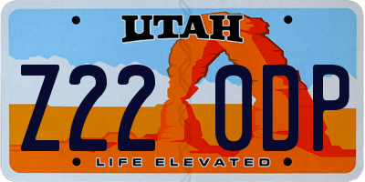 UT license plate Z220DP