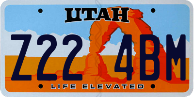 UT license plate Z224BM