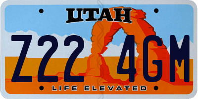 UT license plate Z224GM