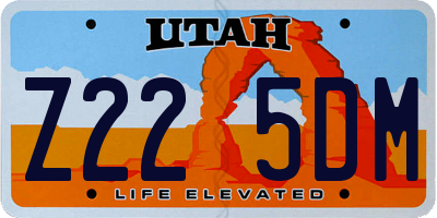 UT license plate Z225DM