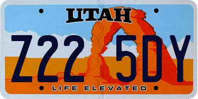 UT license plate Z225DY