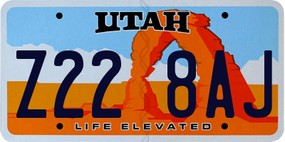 UT license plate Z228AJ