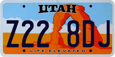 UT license plate Z228DJ