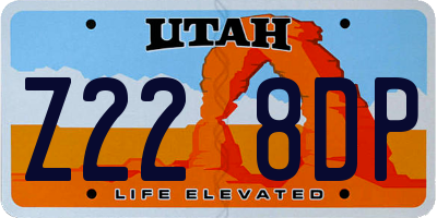 UT license plate Z228DP