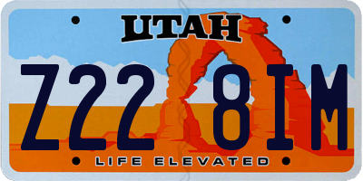 UT license plate Z228IM